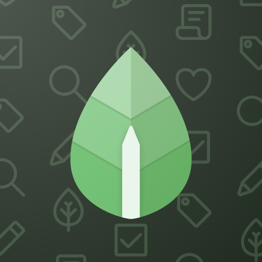 Leaflet Notes Icon
